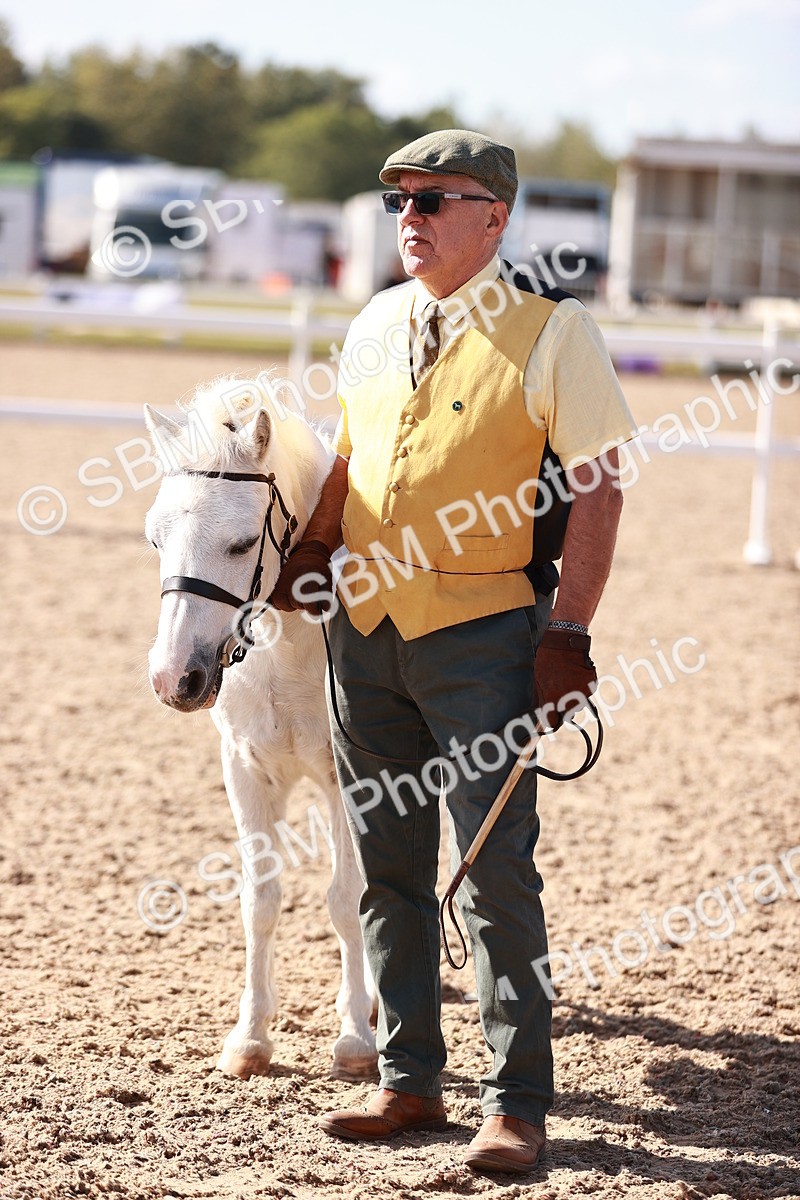 SBM_22812 - Class 705 - IH Combination 65+