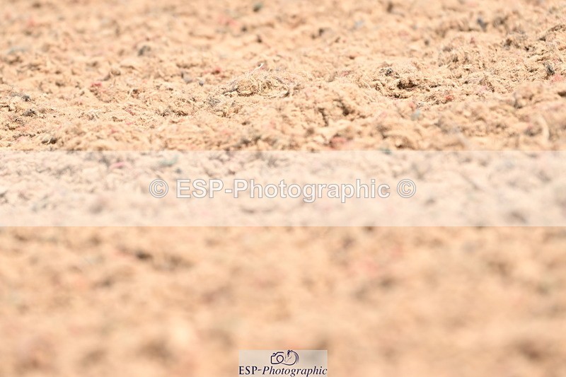 240621A-113347-01996 - Cls 4 BD Novice 22