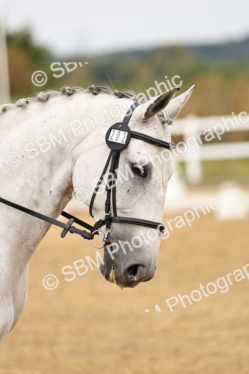 SBM_012328 - Class 2 - Prelim 5