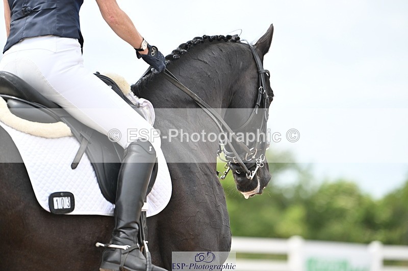 240621A-153821-04770 - Cls 13 BD Adv Medium 91