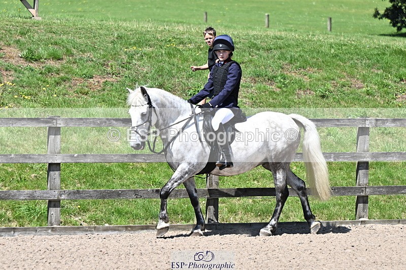 240729B-121407-02612 - Showjumping Competition