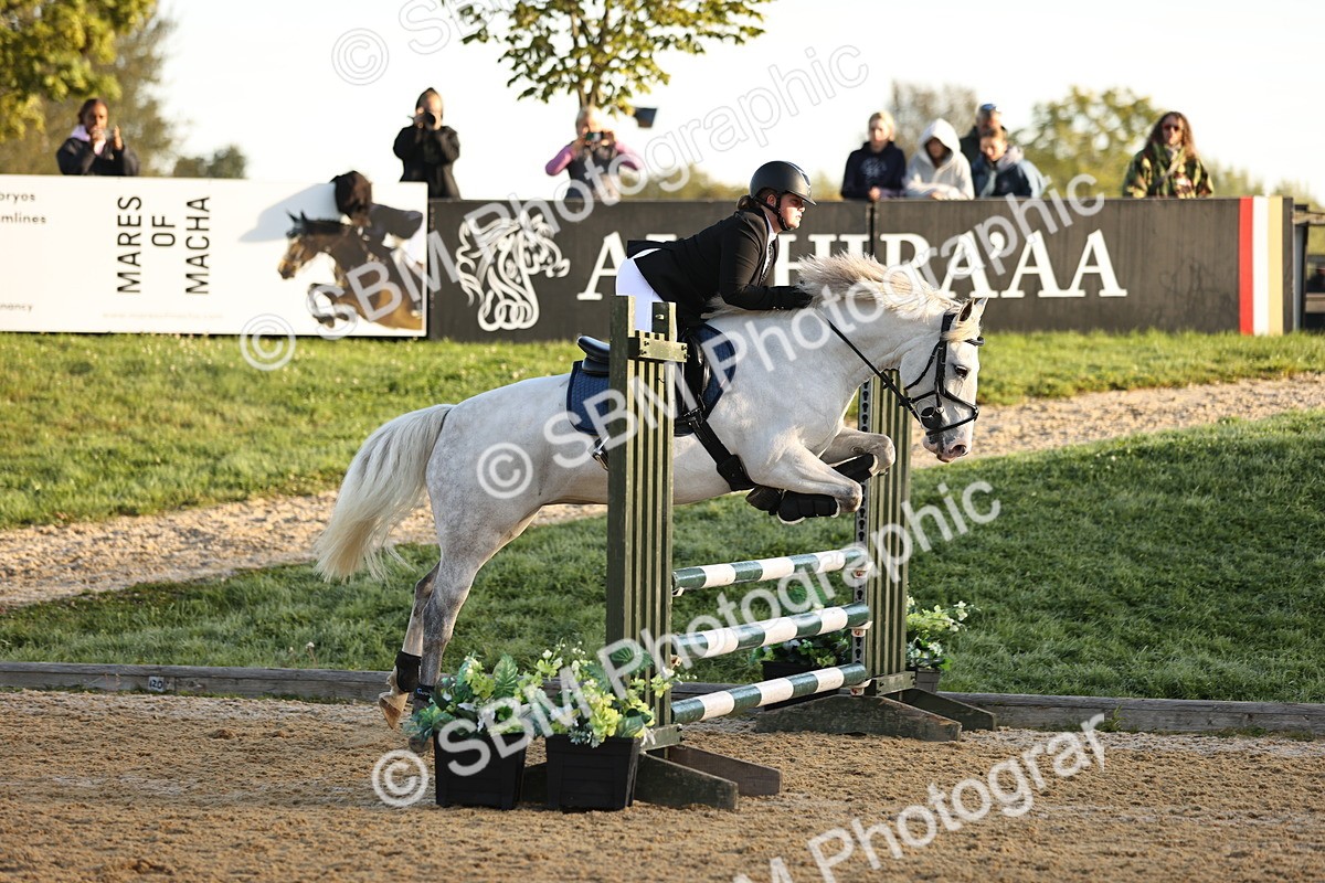 SBM_32999 - J38 - Senior 80cm Championship