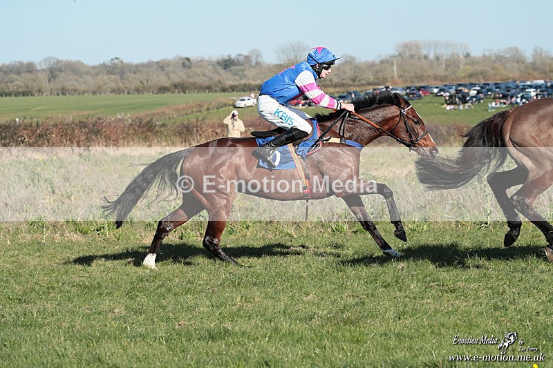 PtP 210326 788 - VWH Cirencester Races 21/03/26
