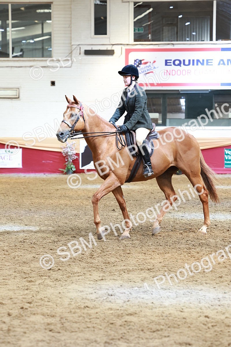 SBM_14908 - Class 108 - Ridden Retired Racehorse