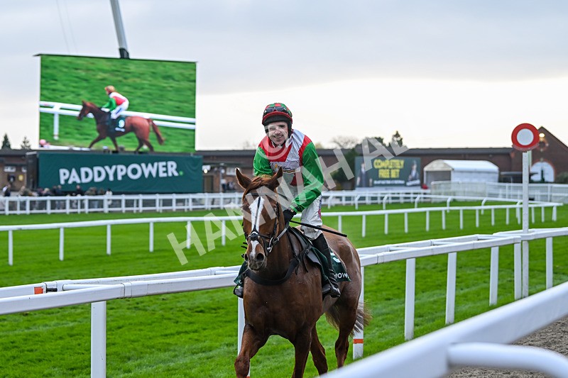 161124-Race 5-Doyen Quest-1058 - Race 5