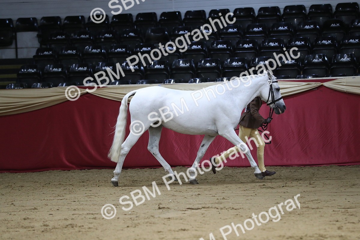 SBM_05026 - Class 8R- Regional -IH Veteran
