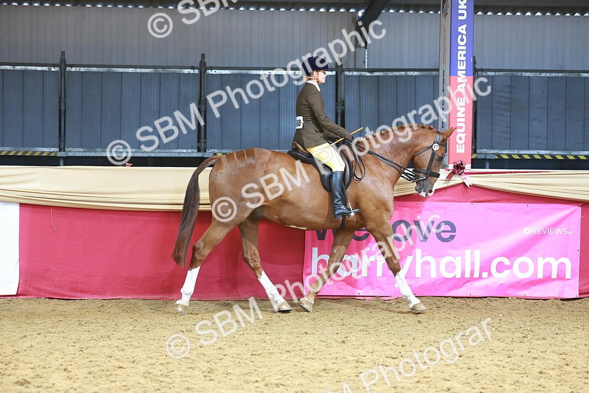 SBM_12424 - Class 103 - HOYS Veteran Qualifier - Ridden Pre Vet