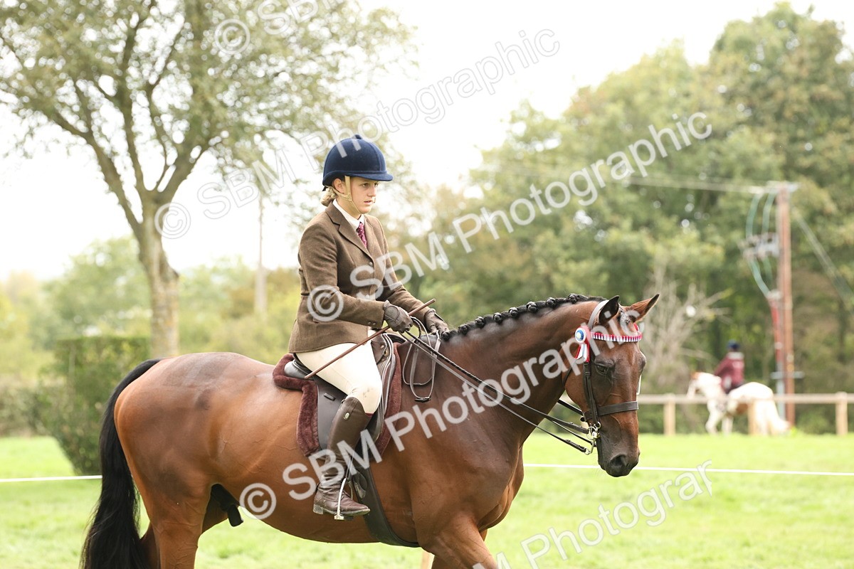 SBM_64137 - S65 - Riding Horse & Hack & Thoroughbred Ridden