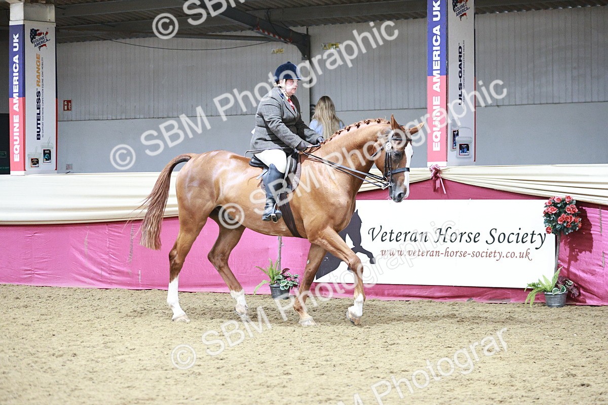 SBM_08763 - Class 12R - Regional Ridden Pre-Vet
