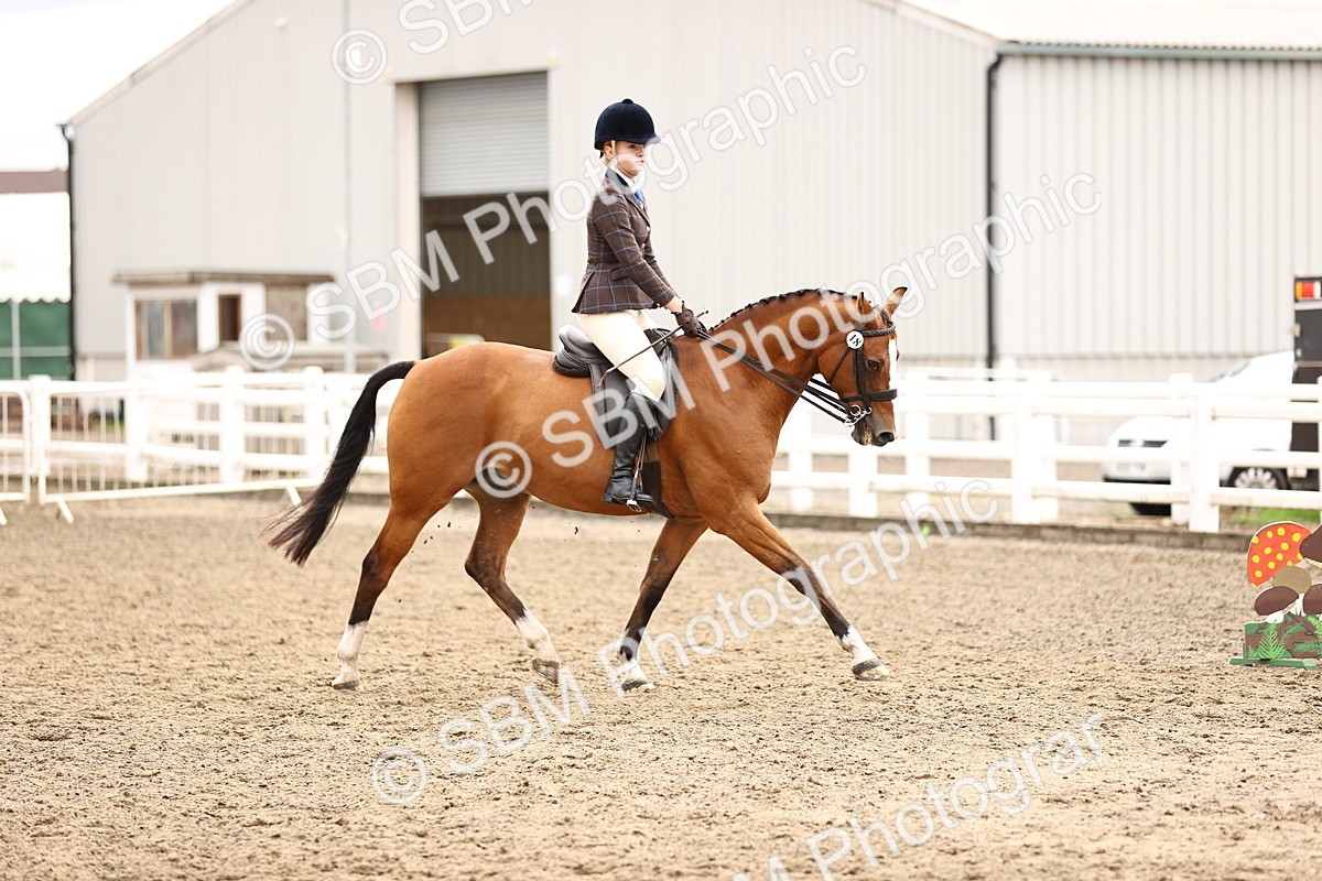 SBM_00537 - Class 53 - Ridden Competition Horse Pony
