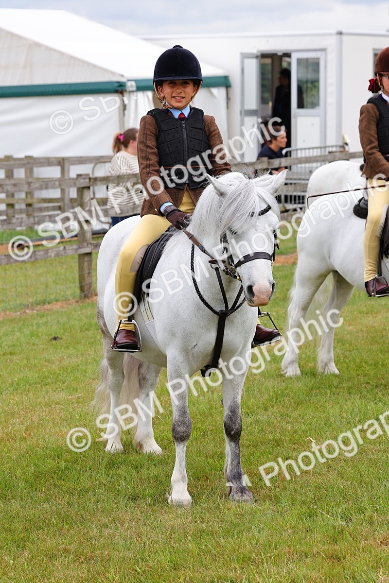 SBM_08805 - Class 42-43 - LIHS BSPS Heritage Working Sports Pony