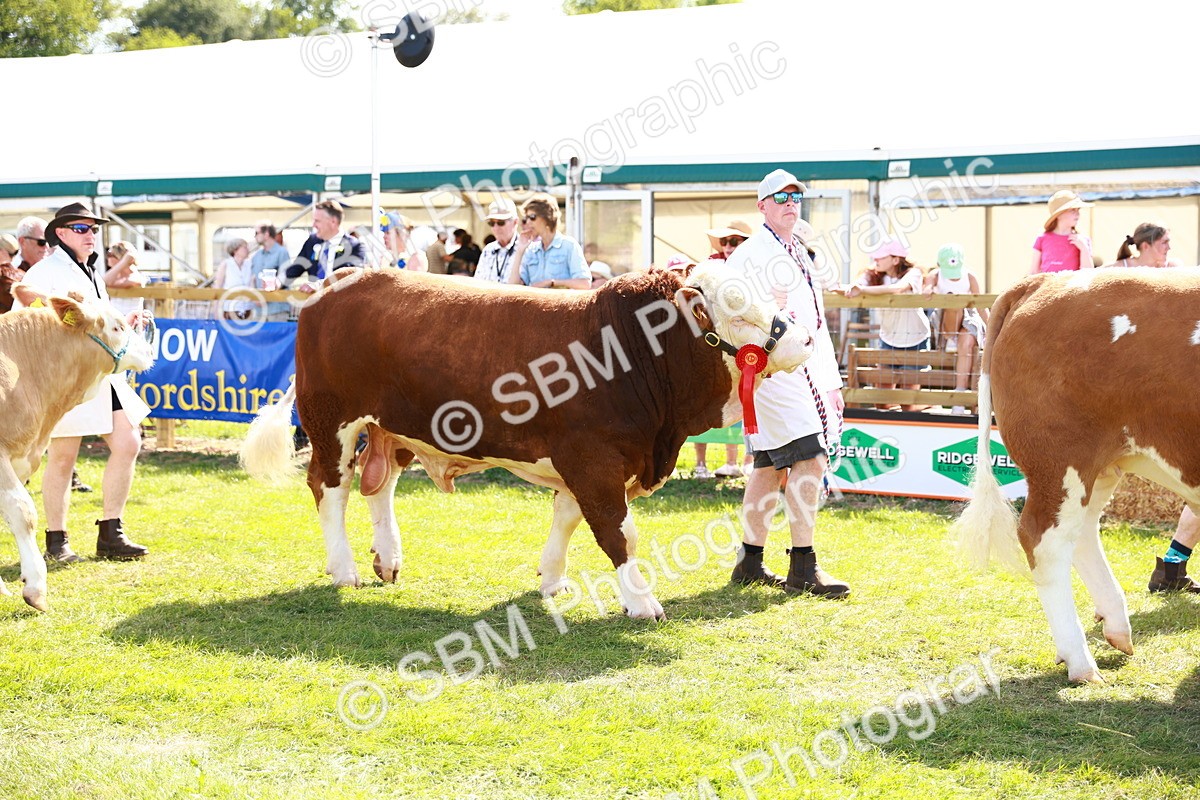 SBM_08441 - Grand Parade
