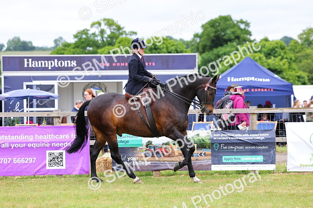 SBM_02900 - Class 9-11 Side Saddle including LIHS Rising Star Ladies Show Horse