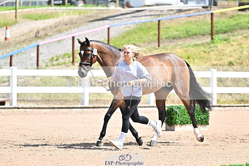 240718A-105244-01091 - Trot Up 12pm to 1pm