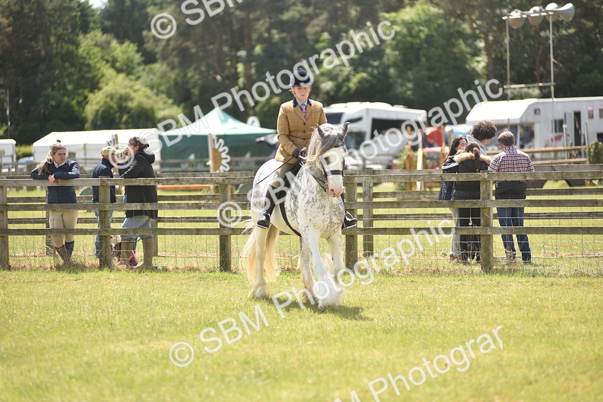 SBM_15893 - Class 117-122 - SSADL RIHS Qualifier