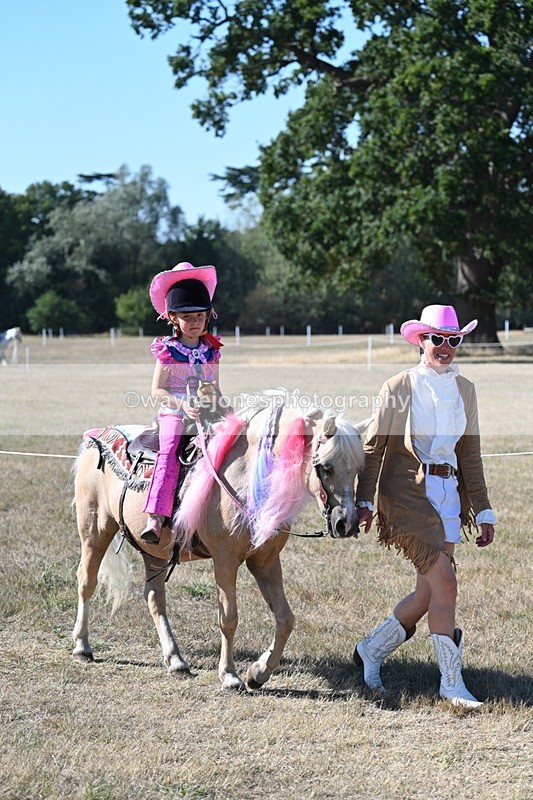 WJ7_2461 - Class 45 Fancy Dress (My Fav)