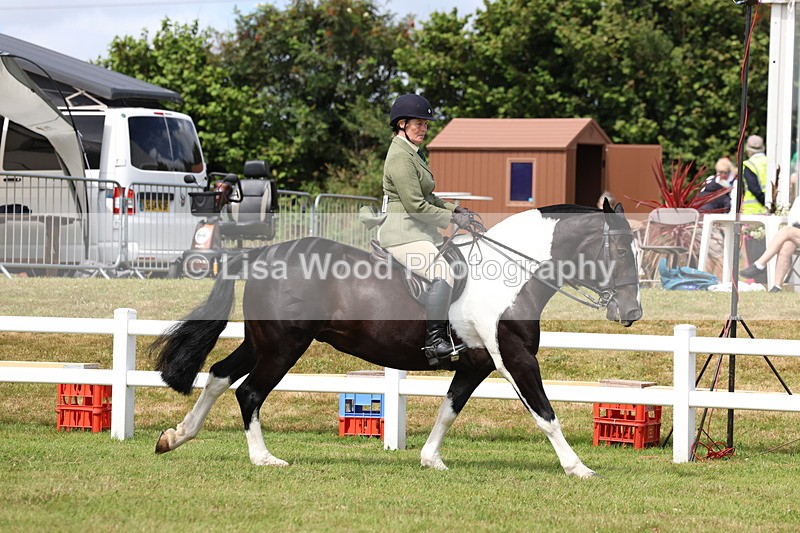 3E7A0181 - Class 6: Rising Star Maxi Cobs