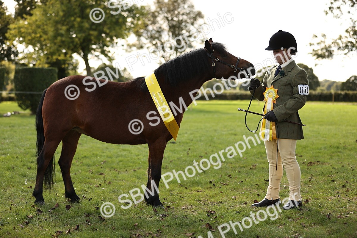 SBM_26278 - S5 - Novice & Newcomers In Hand