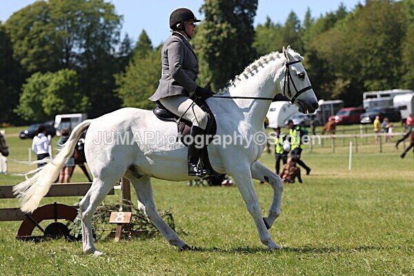 IMG_4178 - Working Hunter