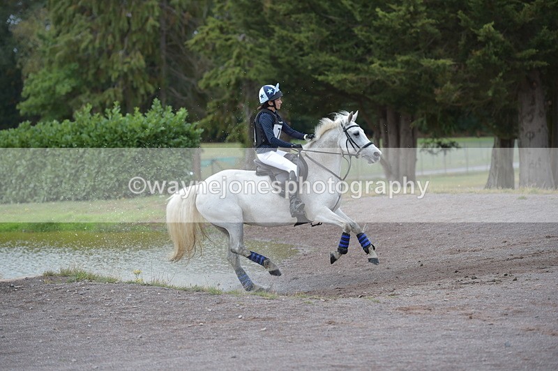 NGP_3376 - XC Time 11:59 to 12:15