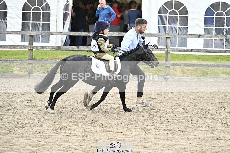 240822X-141025-08850 - 40cm LR R2 13.00 to 15.00