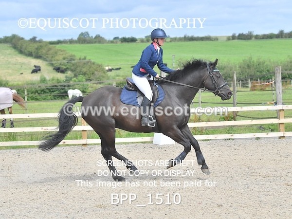 BPP_1510 - DERBY CLASS 3 - 40CM