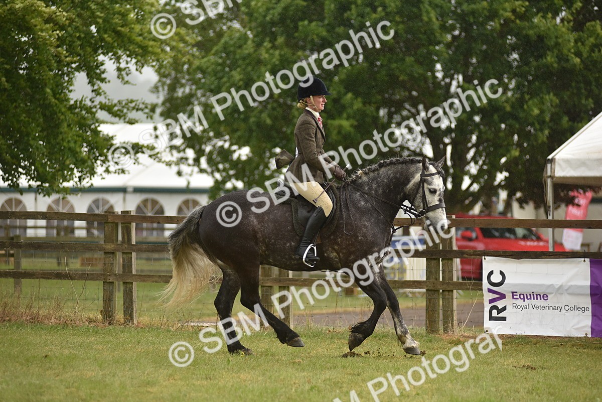 SBM_12103 - Class 110-112 - LIHS BSPS Performance Pones