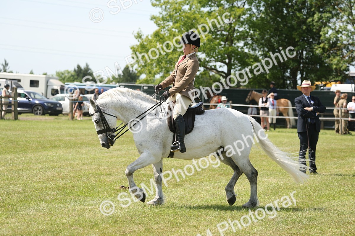 SBM_07611 - Class 26-30 - Mountain and Moorland Ridden