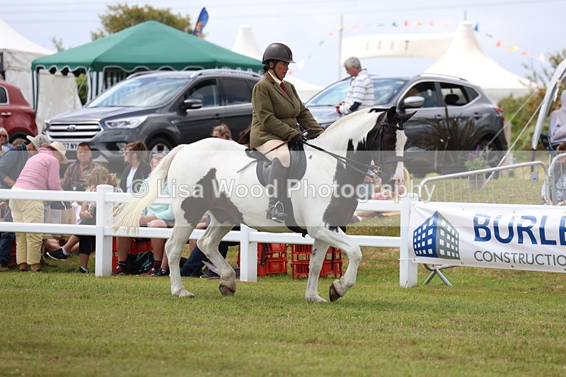 3E7A1866 - Class 10: Open Cob