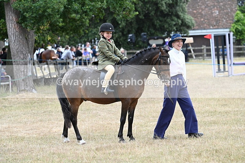WJ7_0449 - Class 6 Ridden Mountain and Moorland
