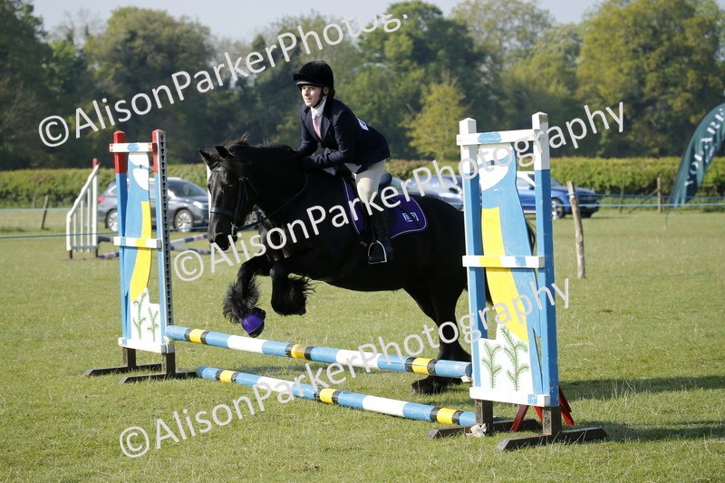 20250427-0227 - Class 12 - Rookie Jumping 40cm