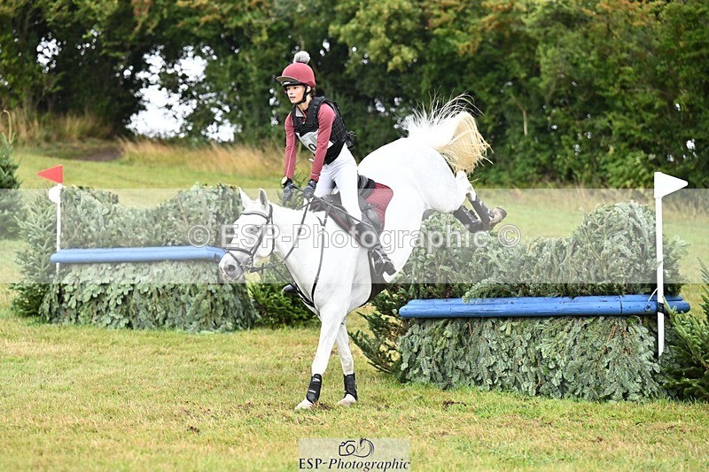 TS_b1392128 - SAT BE 90 Recovered Files fence 8