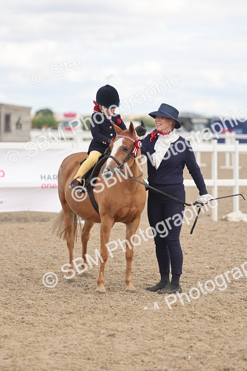 SBM_15813 - Class 309 - Lead Rein Pony