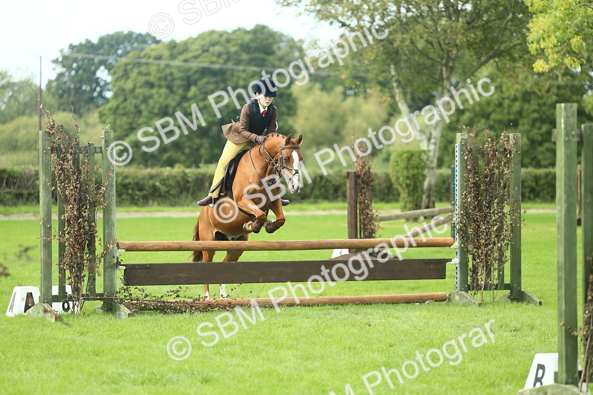SBM_44644 - S31 - Working Hunter Pony