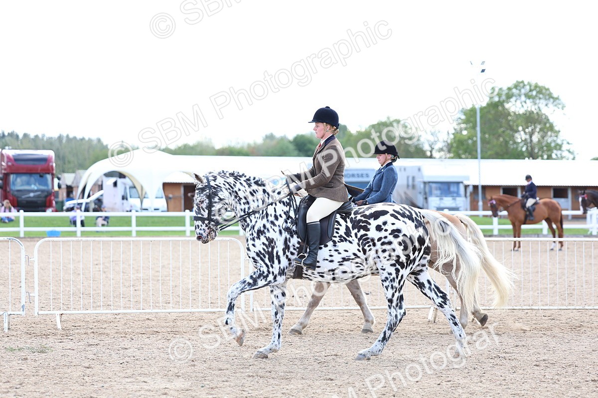 SBM_17167 - Class 315 - Best Horse - Rider Combination