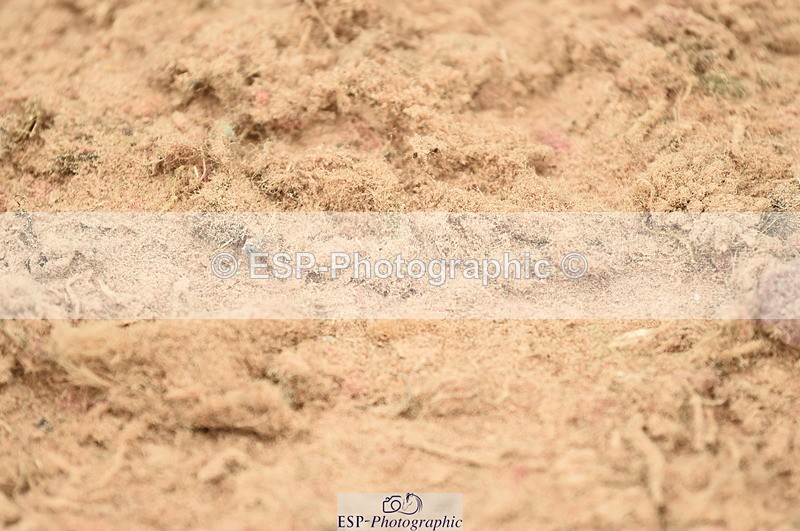 230610A-151148-03987 - Cls 25 Team Competition