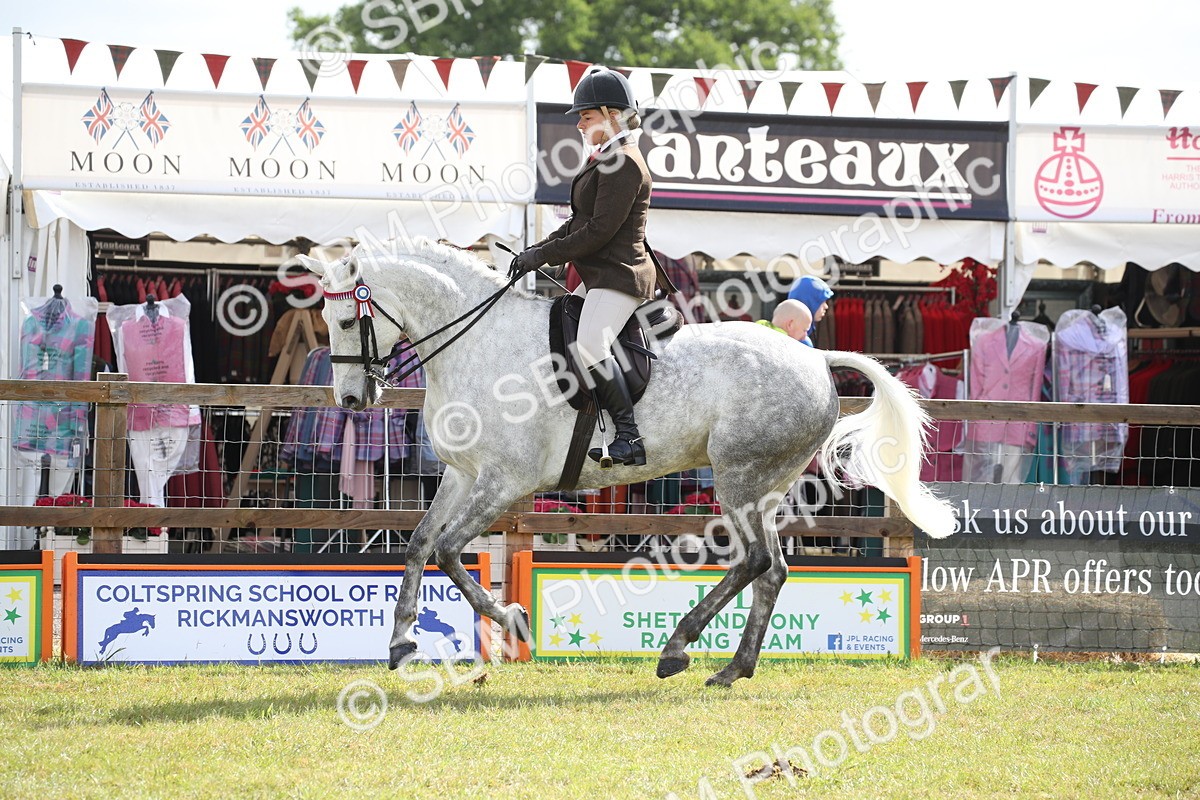 SBM_11521 - Class 95-96 - LIHS BSHA Rising Star Hack Riding Horse