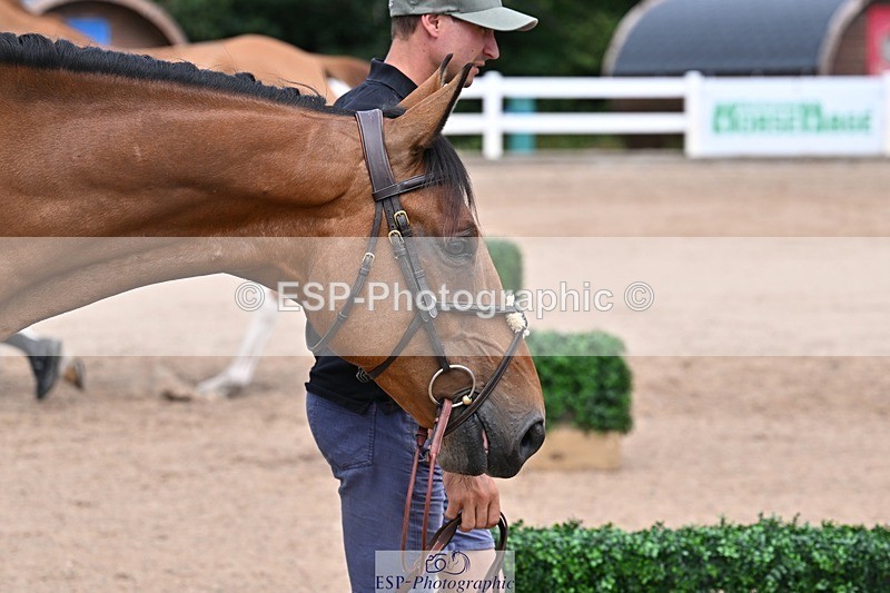 250716-130223-00278 - Trot Up 12.30 to 1.30