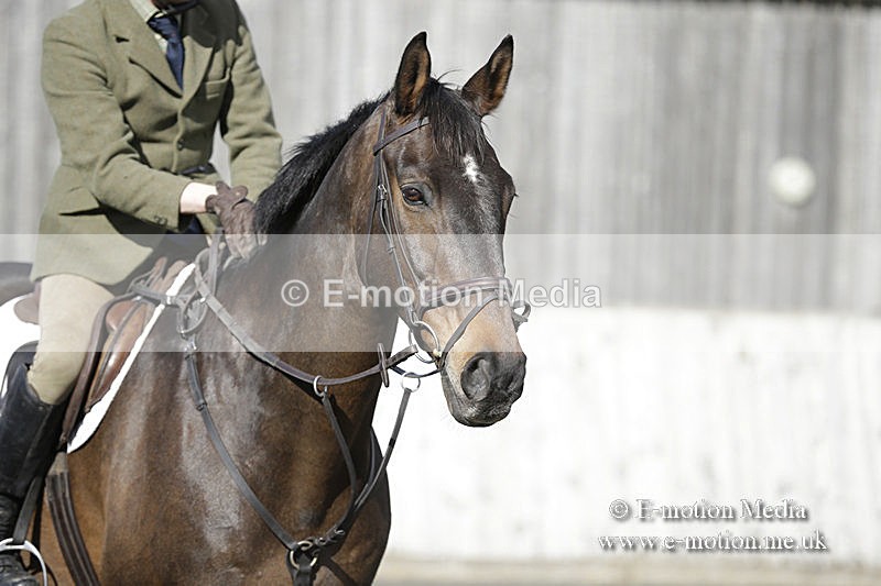 BVRC 050320 0618 - Bourne Valley riding Club Show Jumping Tidworth 08/03/20
