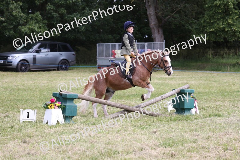 20260614-2030 - Class 21 - Novice Working Hunter Pony