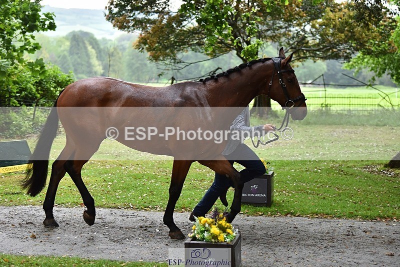 240522-162206-00866 - 231-DHI_ROCK_DANCER-Roberto_Scalisi