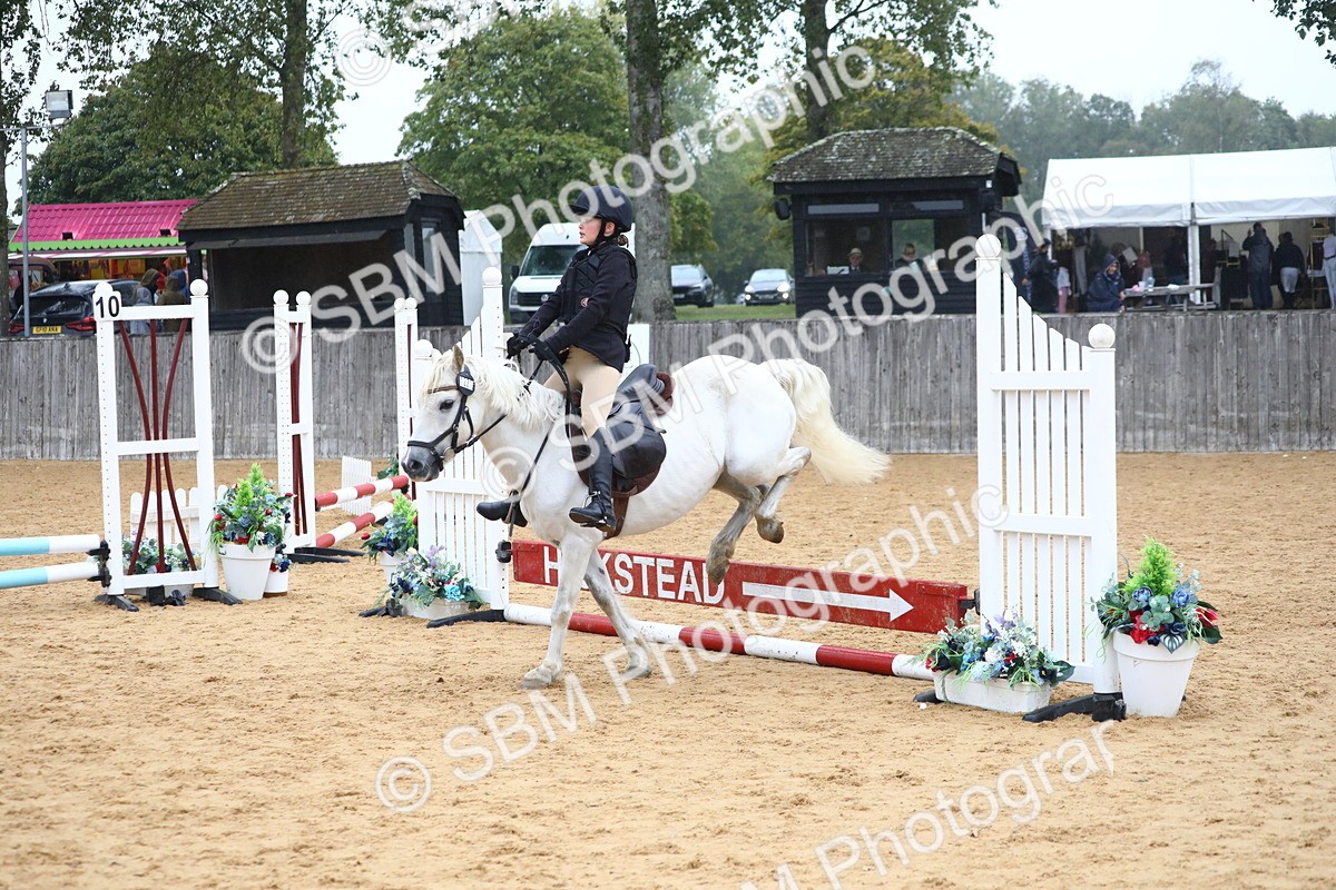 SBM_71685 - J4 - Mini Tour Junior Pony 45cm Championship