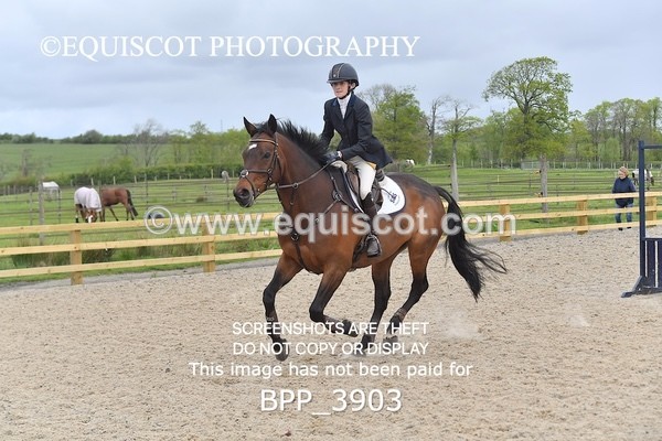 BPP_3903 - CLASS 2  Club/ Unaffiliated 80cms Open