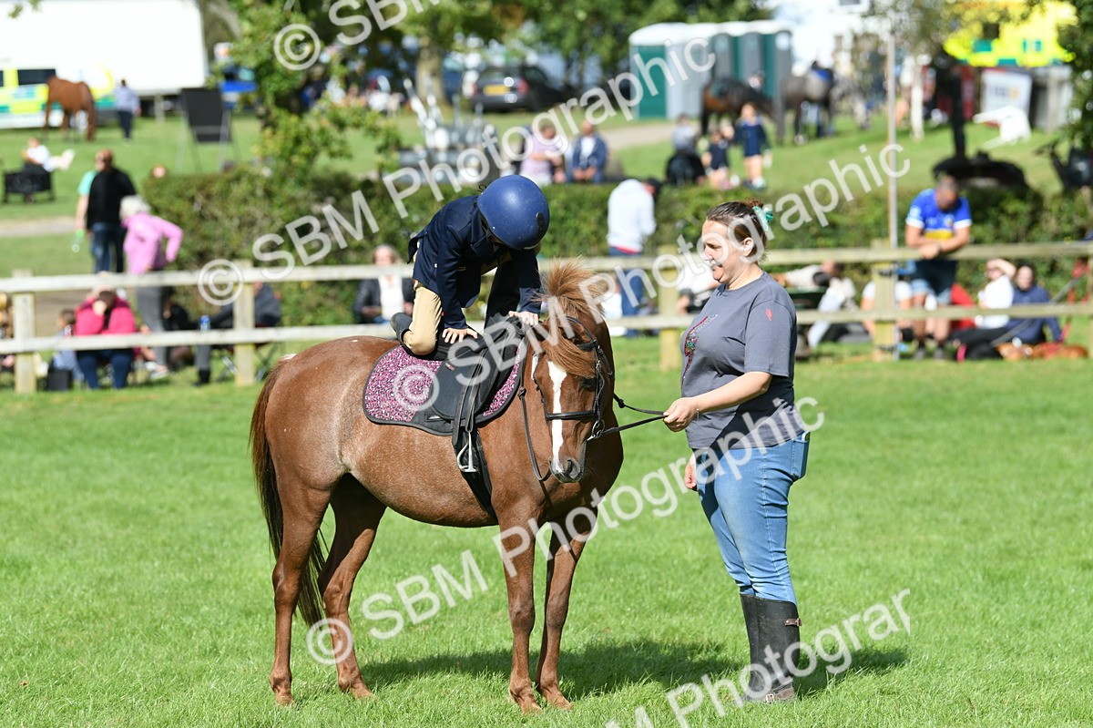 SBM_47158 - S12 - Family Horse & Pony