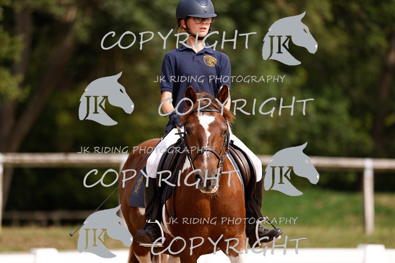 _R6A2319 - Dressage Morning