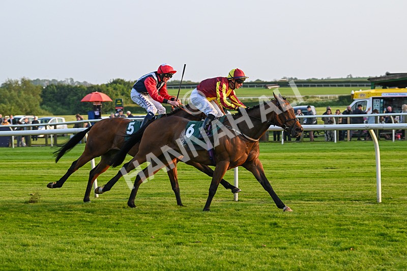 310524-Race 4-Albegone-8784 - Race 4