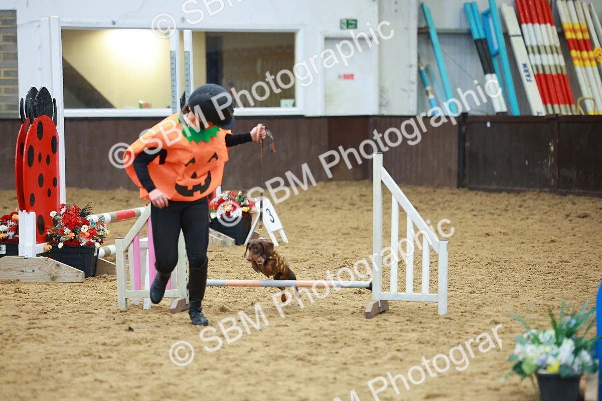 SBM_002200 - Class 3 - Horse & Hound (60cm)