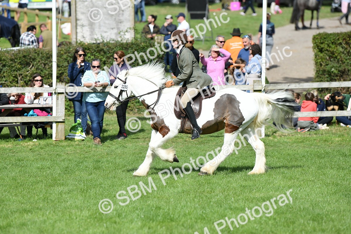 SBM_47016 - S12 - Family Horse & Pony