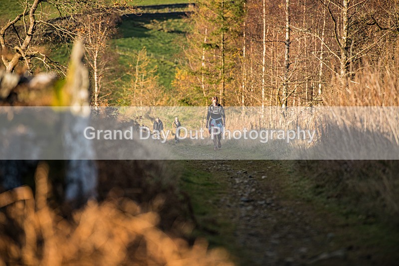 Tweed Valley-771 - High Terrain Events Tweed Valley 50 & 65K Ultra Trail Races Sunday 16th November 2025