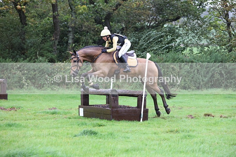 JPP_5440 - Class 4: 80cm: Crossed Logs